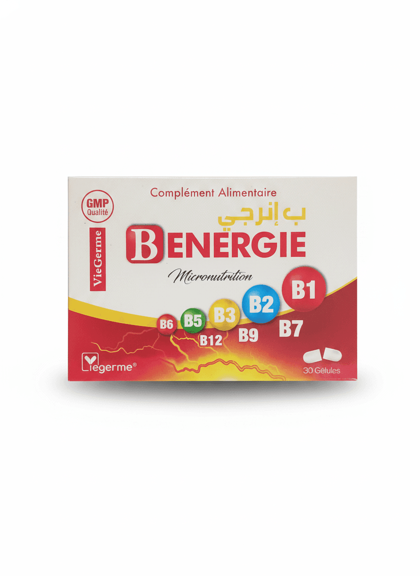 VIEGERME B ENERGIE PPA :